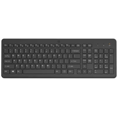 HP 225 805T1AA Kablosuz Klavye 2.4Ghz (1 x AAA Pil) Siyah (12 Kısayol Kombinasyonu)